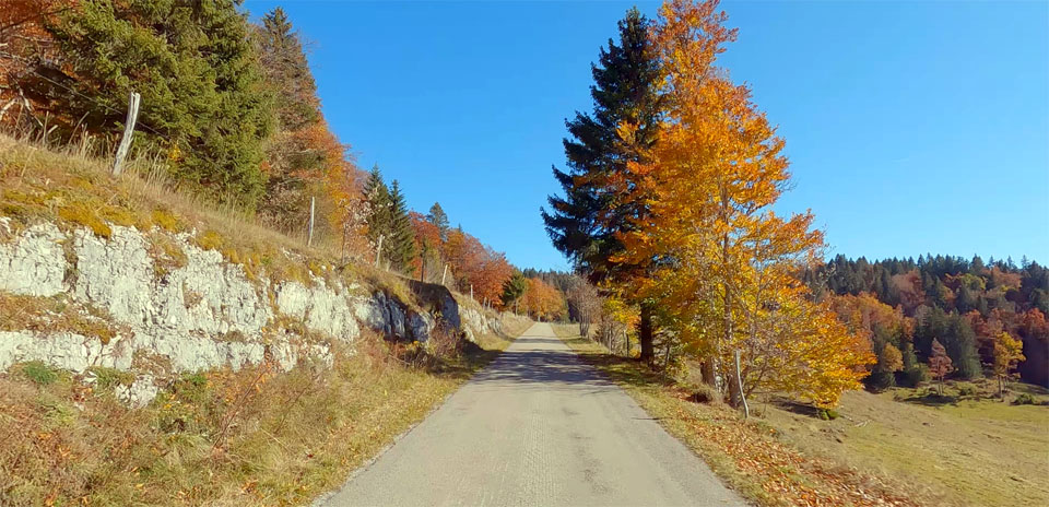 Foret du Massacre (Jura Mountains)