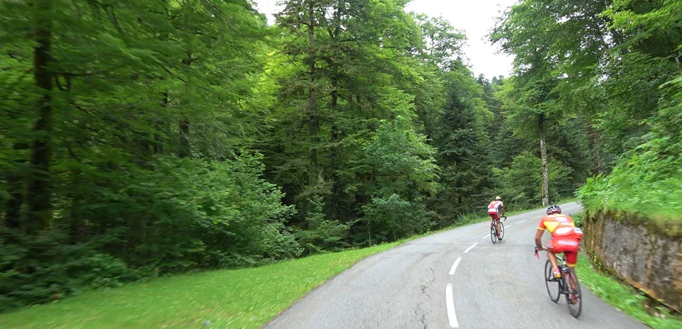 Col de Marie-Blanque (West side) virtual cycling route