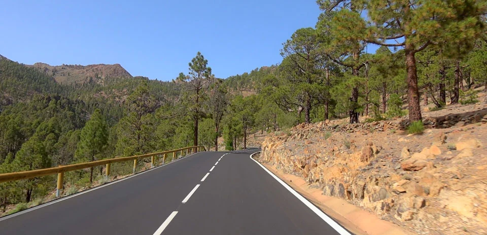 El Teide (South side)