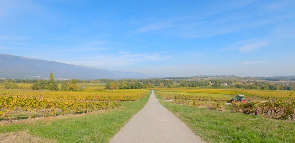 Geneva countryside