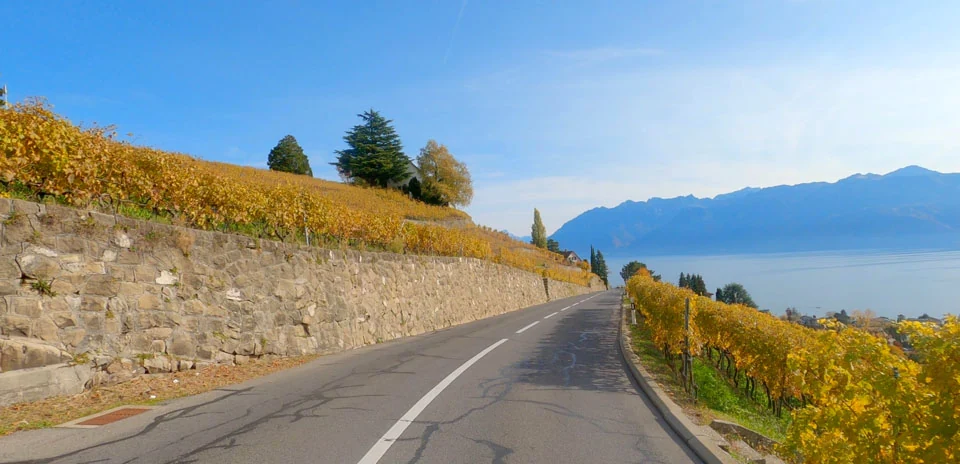 Lavaux Vineyards