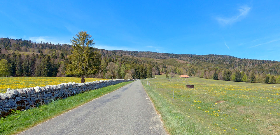 Col du Marchairuz