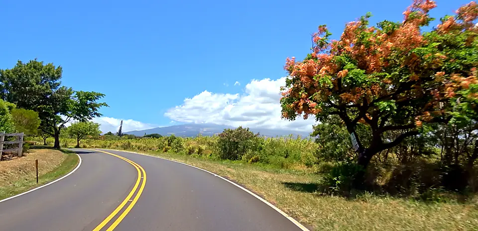 Baldwin Avenue Climb