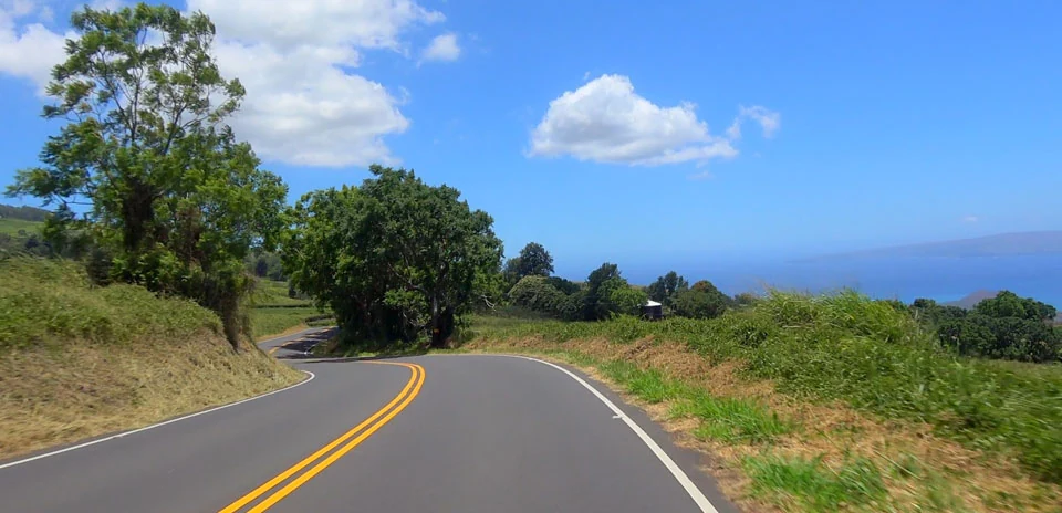 Kula Highway to Ulupalakua